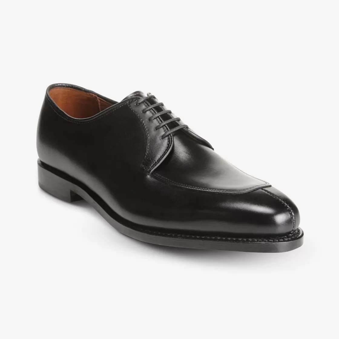 SHOE CARE Allen Edmonds Recraftable Shoe*Delray Blucher Dress Shoe Black